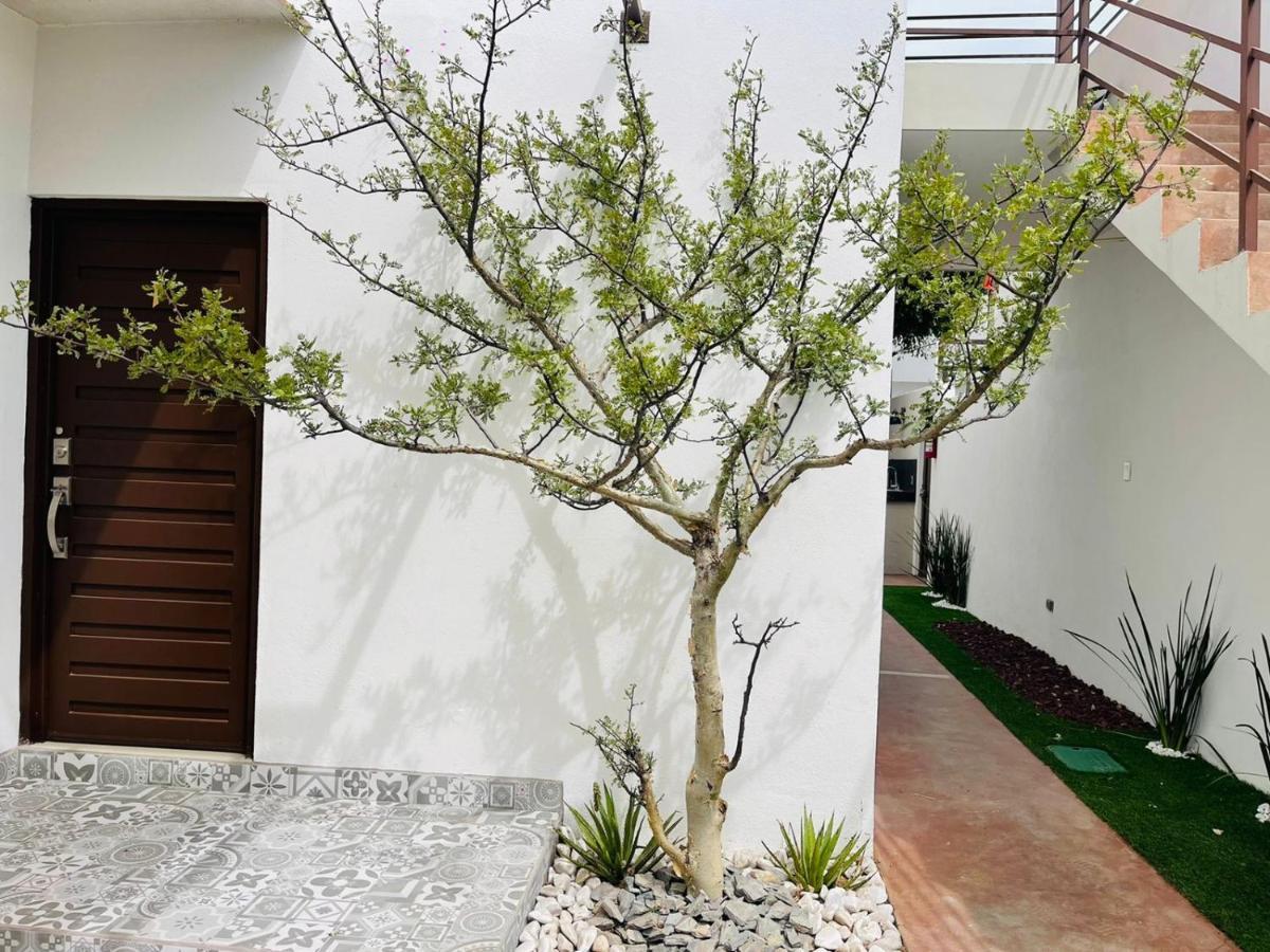 Casa Maya La Paz Dış mekan fotoğraf